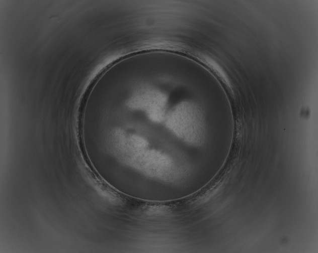 X0000091641043200708301354