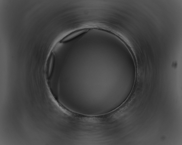 X0000091641045200708301354