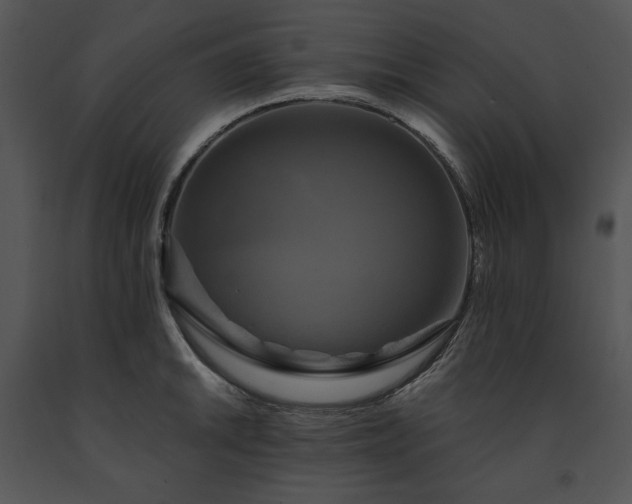 X0000091641046200708301354
