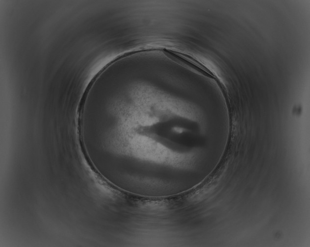X0000091641047200708301354