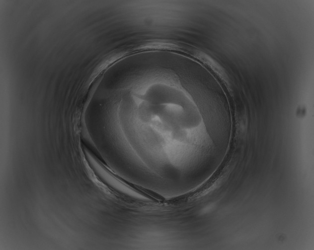 X0000091641049200708301354