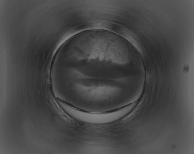 X0000091641052200708301354
