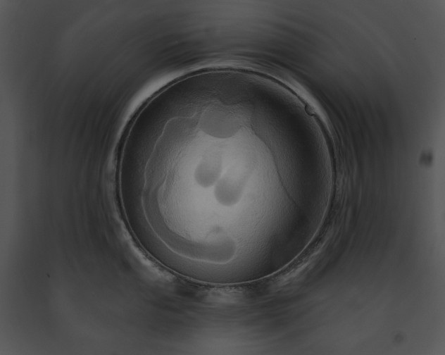 X0000091641053200708301354