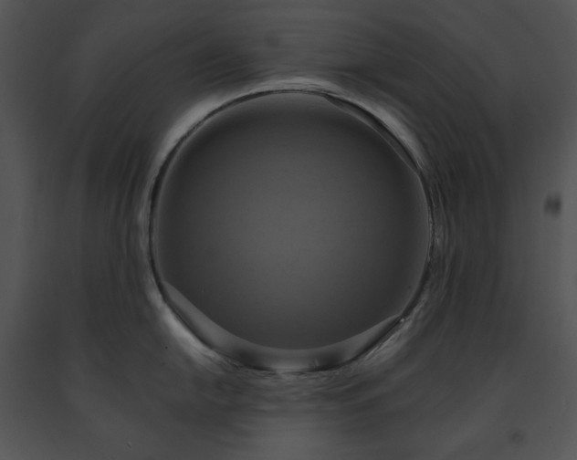 X0000091641054200708301354
