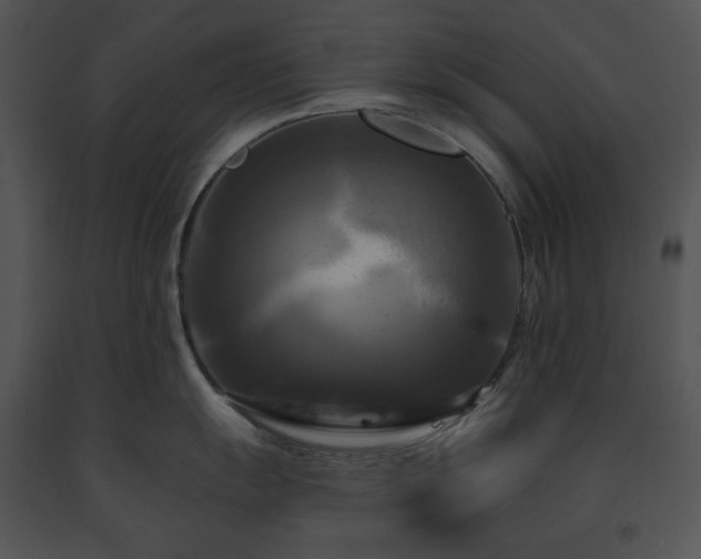 X0000091641055200708301354