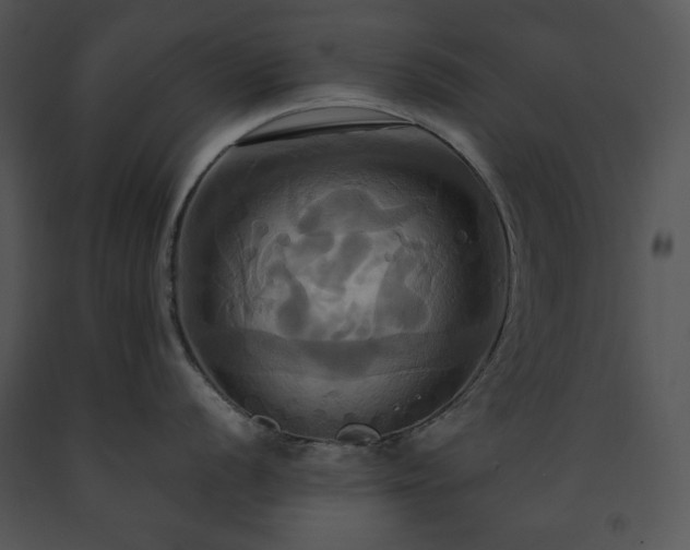 X0000091641056200708301354