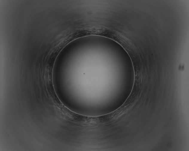 X0000091641058200708301354