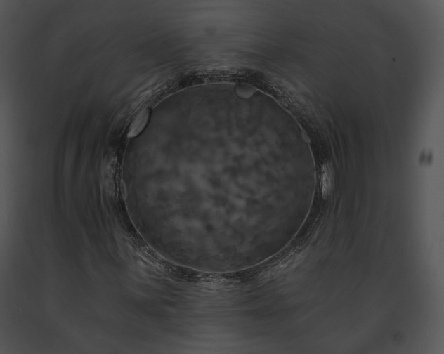 X0000091641059200708301354