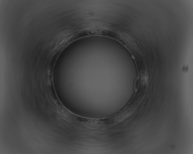 X0000091641060200708301354