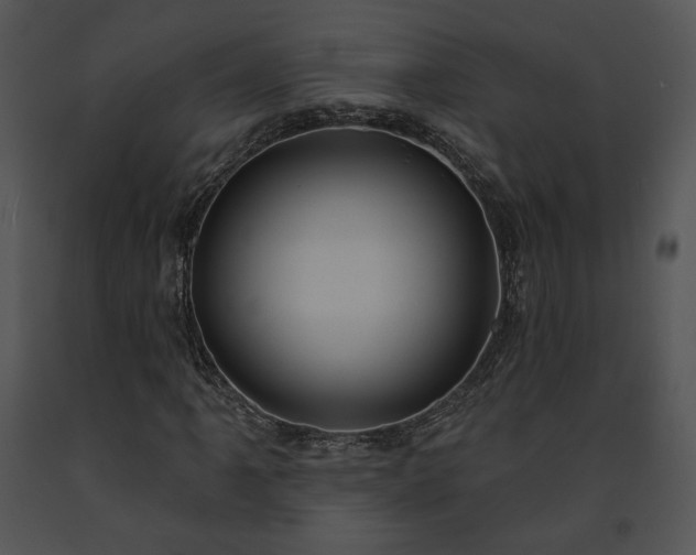 X0000091641061200708301354