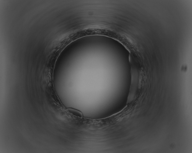 X0000091641062200708301354