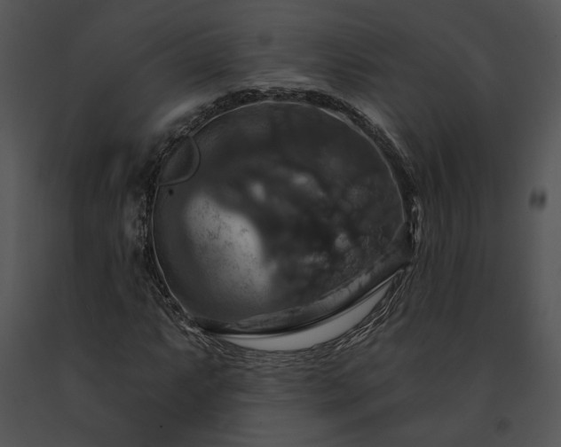 X0000091641063200708301354
