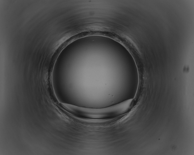 X0000091641065200708301354