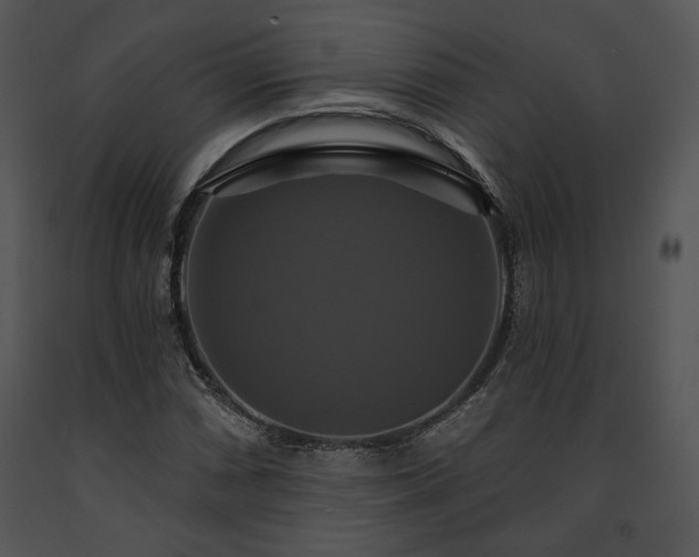 X0000091641066200708301354