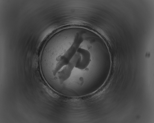X0000091641067200708301354