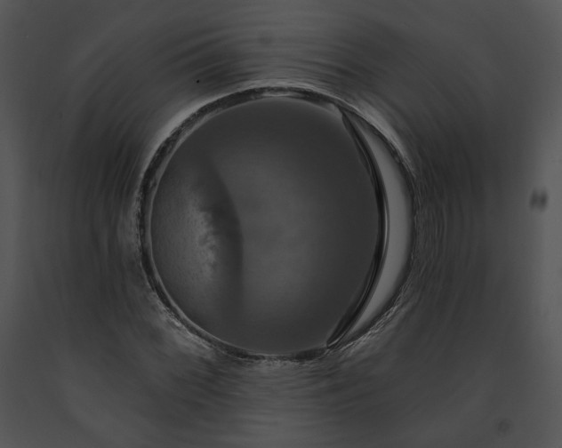 X0000091641068200708301354