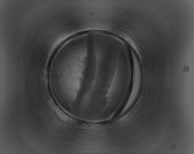 X0000091641072200708301354