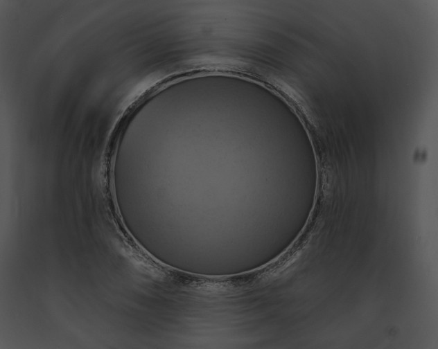 X0000091641074200708301354