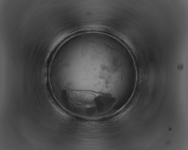 X0000091641075200708301354