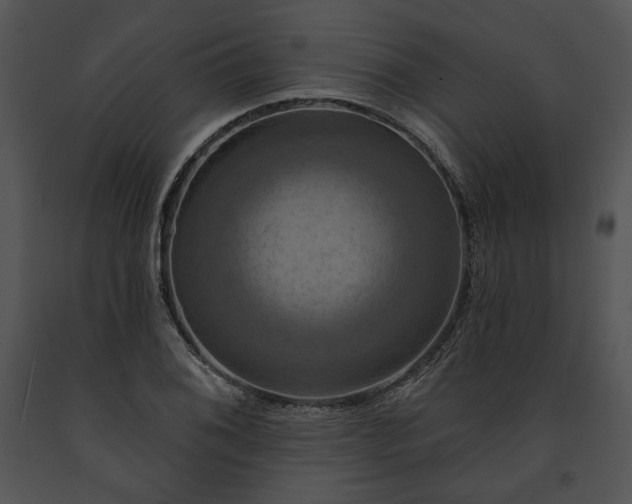 X0000091641076200708301354