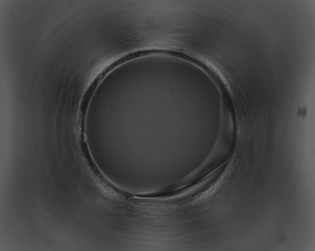 X0000091641077200708301354