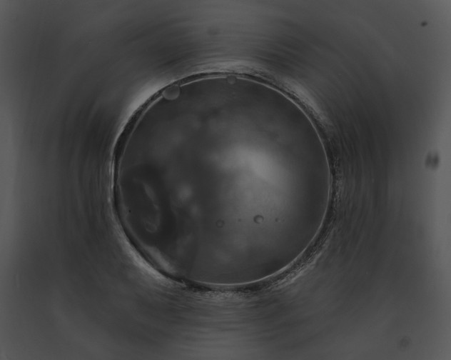 X0000091641079200708301354