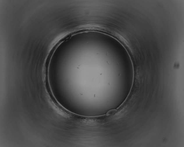 X0000091641082200708301354