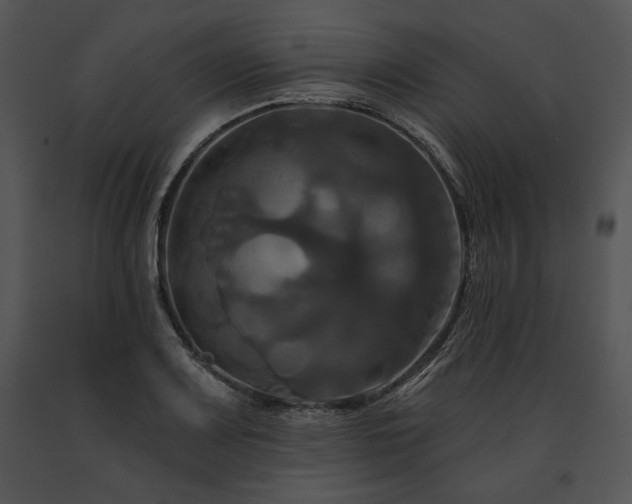 X0000091641083200708301354