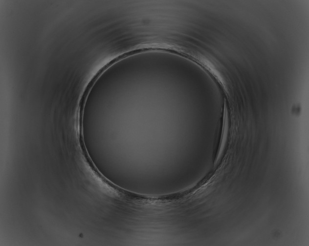 X0000091641084200708301354