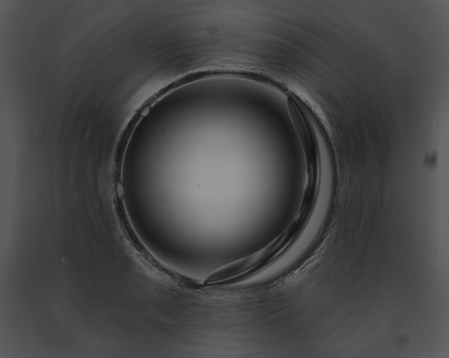 X0000091641085200708301354