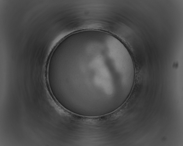 X0000091641086200708301354