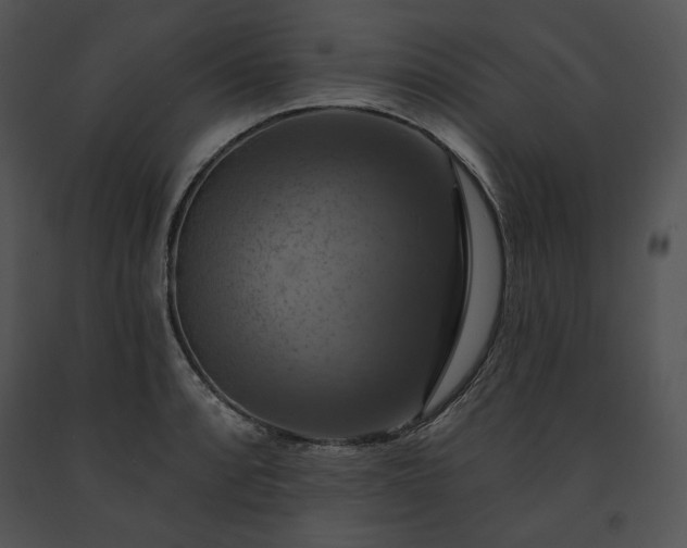 X0000091641088200708301353