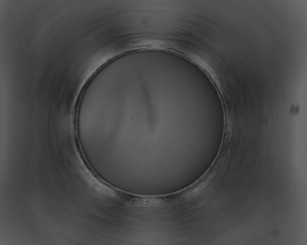 X0000091641090200708301353