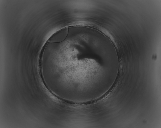 X0000091641091200708301353