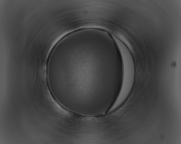 X0000091641092200708301353