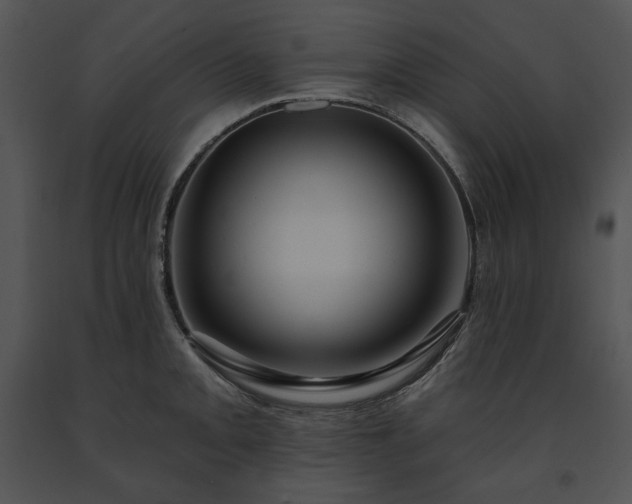 X0000091641093200708301353