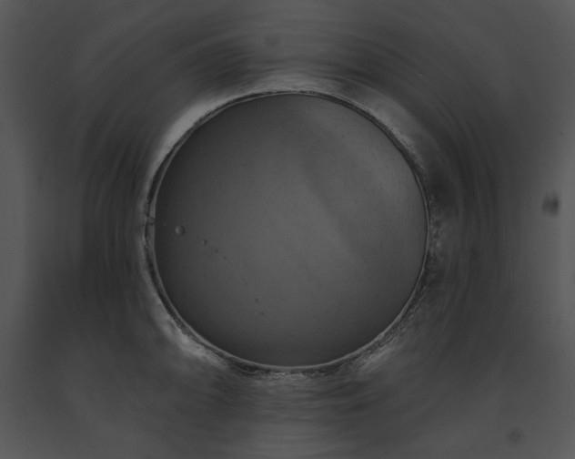 X0000091641094200708301353