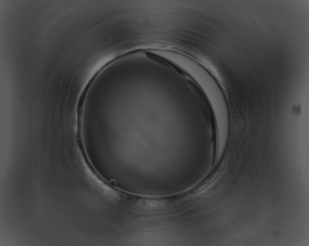 X0000091641095200708301353