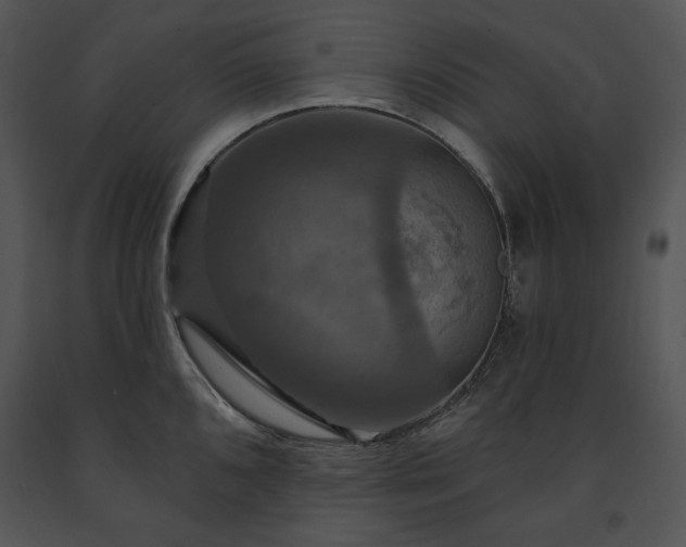 X0000091641096200708301353