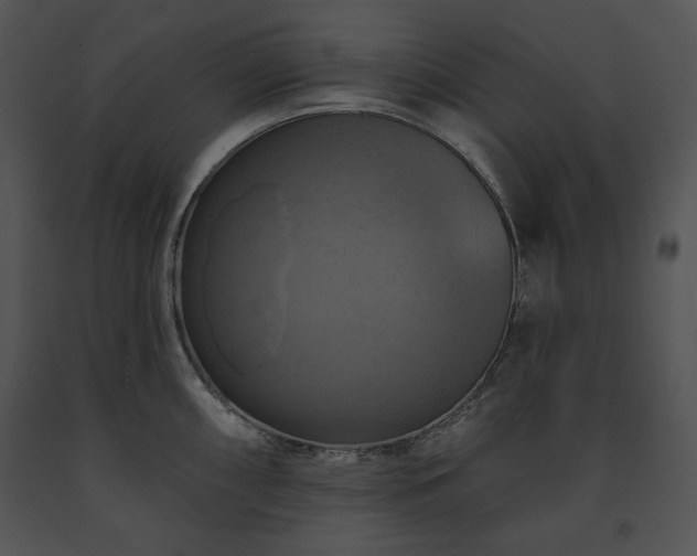 X0000091641098200708301353