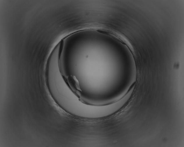X0000091641099200708301353
