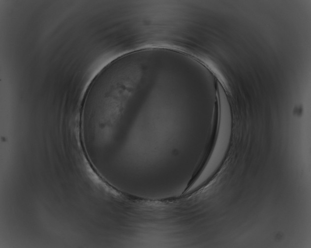 X0000091641100200708301353