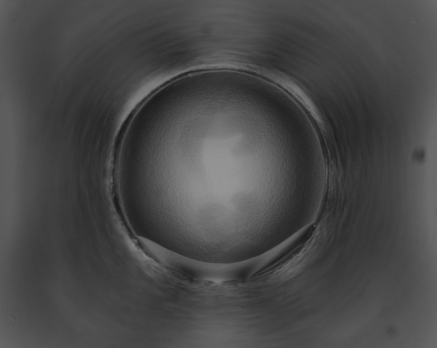 X0000091641101200708301353