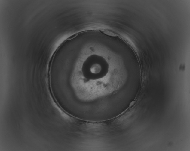 X0000091641103200708301353