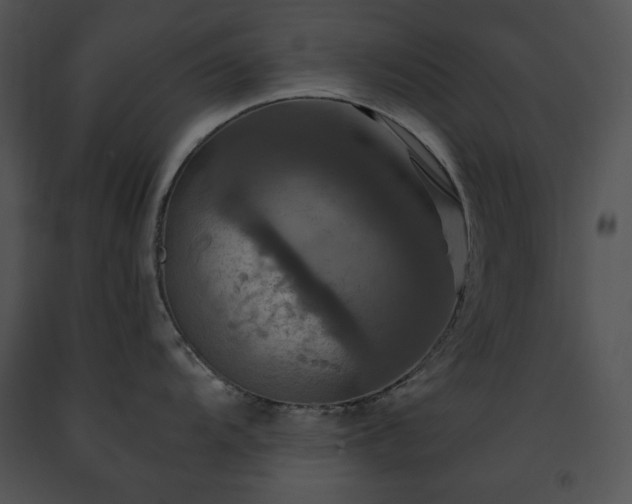 X0000091641104200708301353