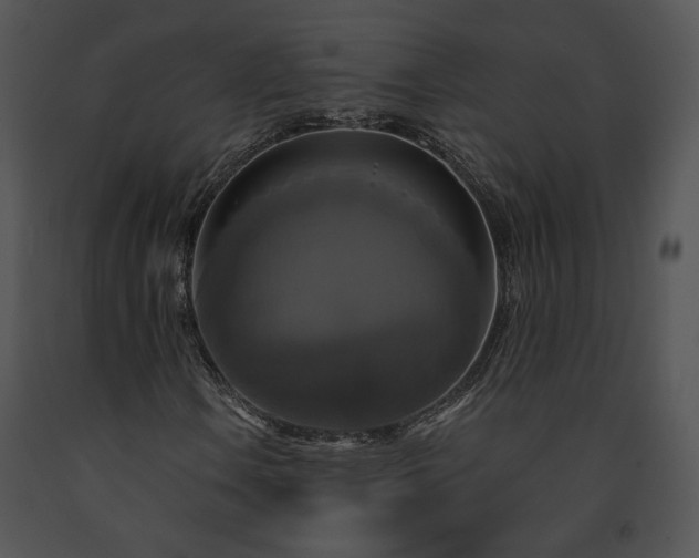 X0000091641106200708301353