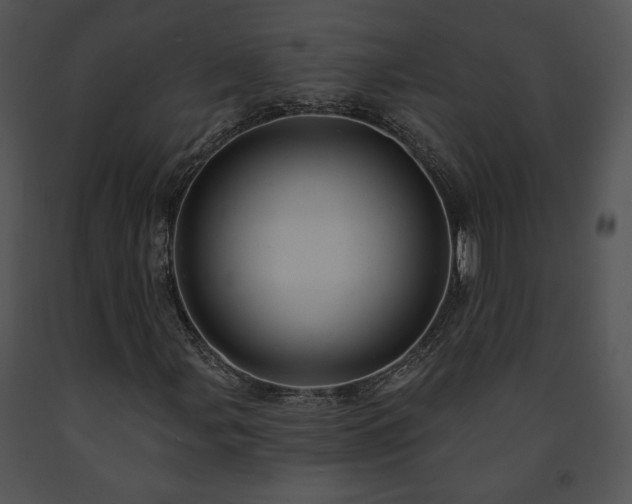 X0000091641107200708301353