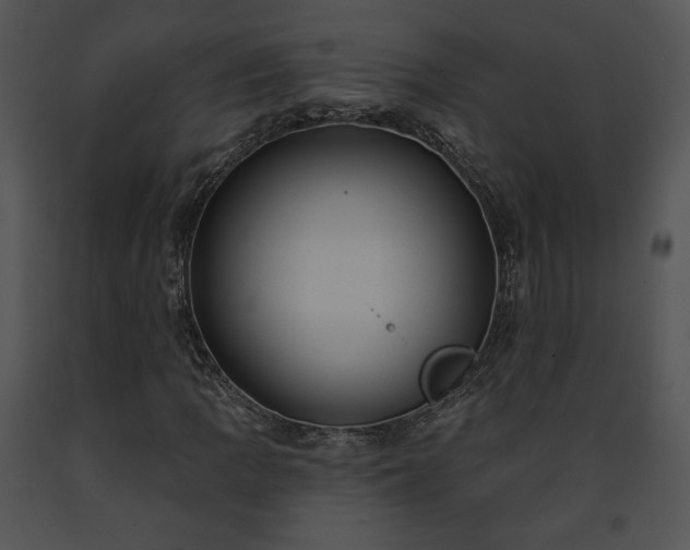 X0000091641109200708301353