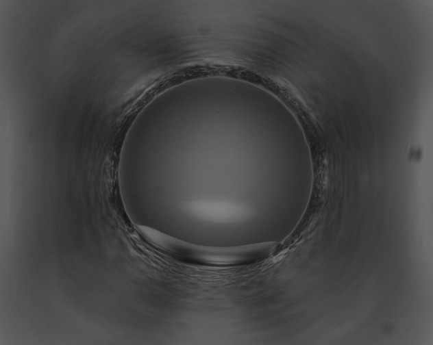 X0000091641110200708301353