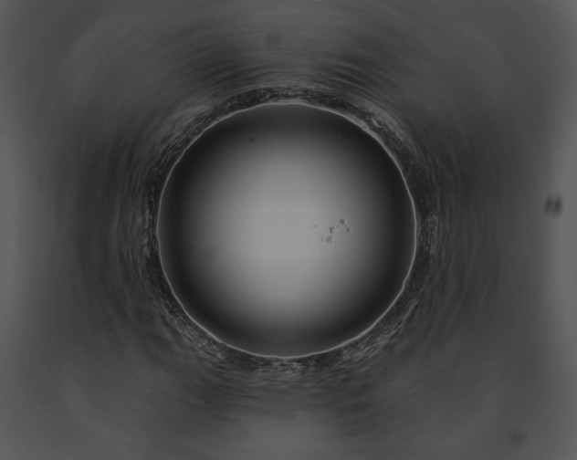 X0000091641111200708301353